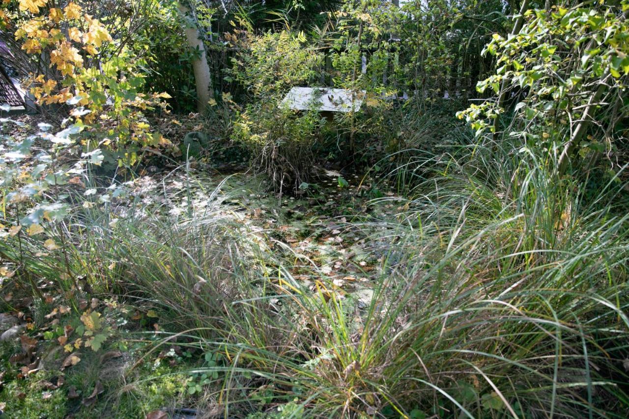 Family Wellhouse Green Garden Direct In Salzburg, Sunny Big Garden, Up To 16 Pax, Bikes For Free, Bbq, Sunbeds, Parking For Free, 15 Min Sound Of Music Exterior photo